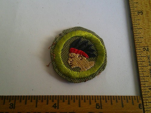 Boy scout path finder merit - boy,